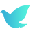 pg齫(ٷ)IOS/׿/ֻAPP